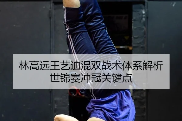 lin-gao-yuan-wang-yi-di-hun-shuang-zhan-shu-ti-xi-jie-xi-shi-jin-sai-chong-guan-guan-jian-dian-2-733.jpg