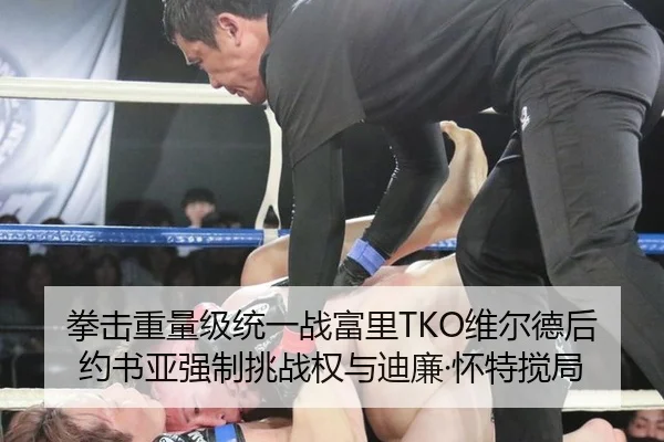 拳击重量级统一战富里TKO维尔德后约书亚强制挑战权与迪廉·怀特搅局