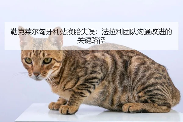 lei-ke-lai-er-xiong-ya-li-zhan-huan-tai-shi-wu-fa-la-li-tuan-dui-gou-tong-gai-jin-de-guan-jian-lu-jing-3-896.jpg
